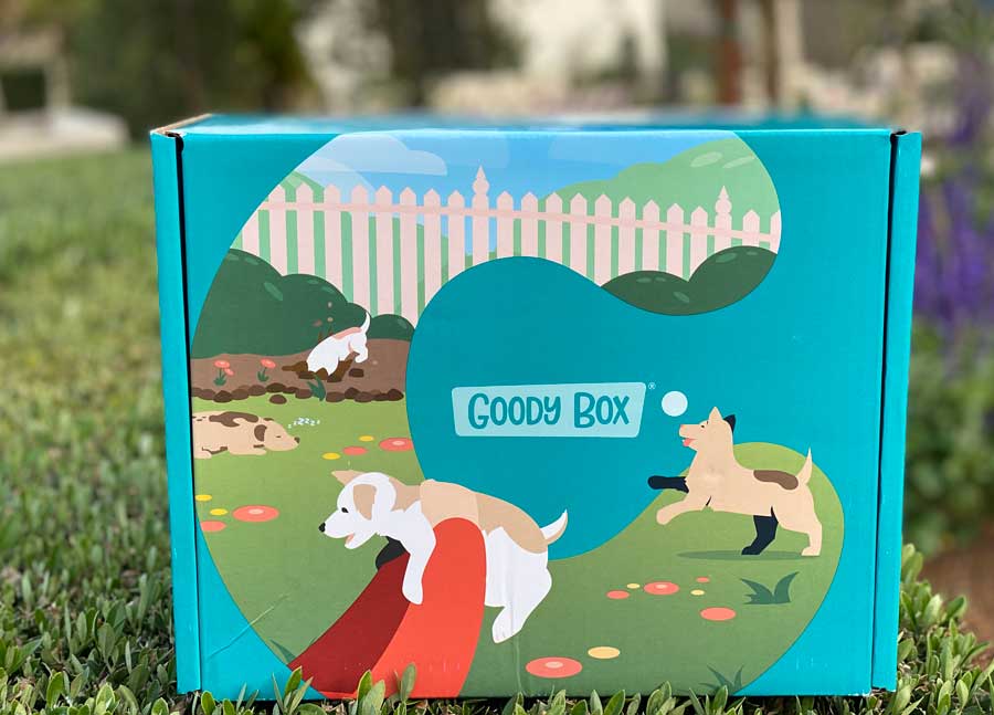 Puppy Goody Box Fall 2021