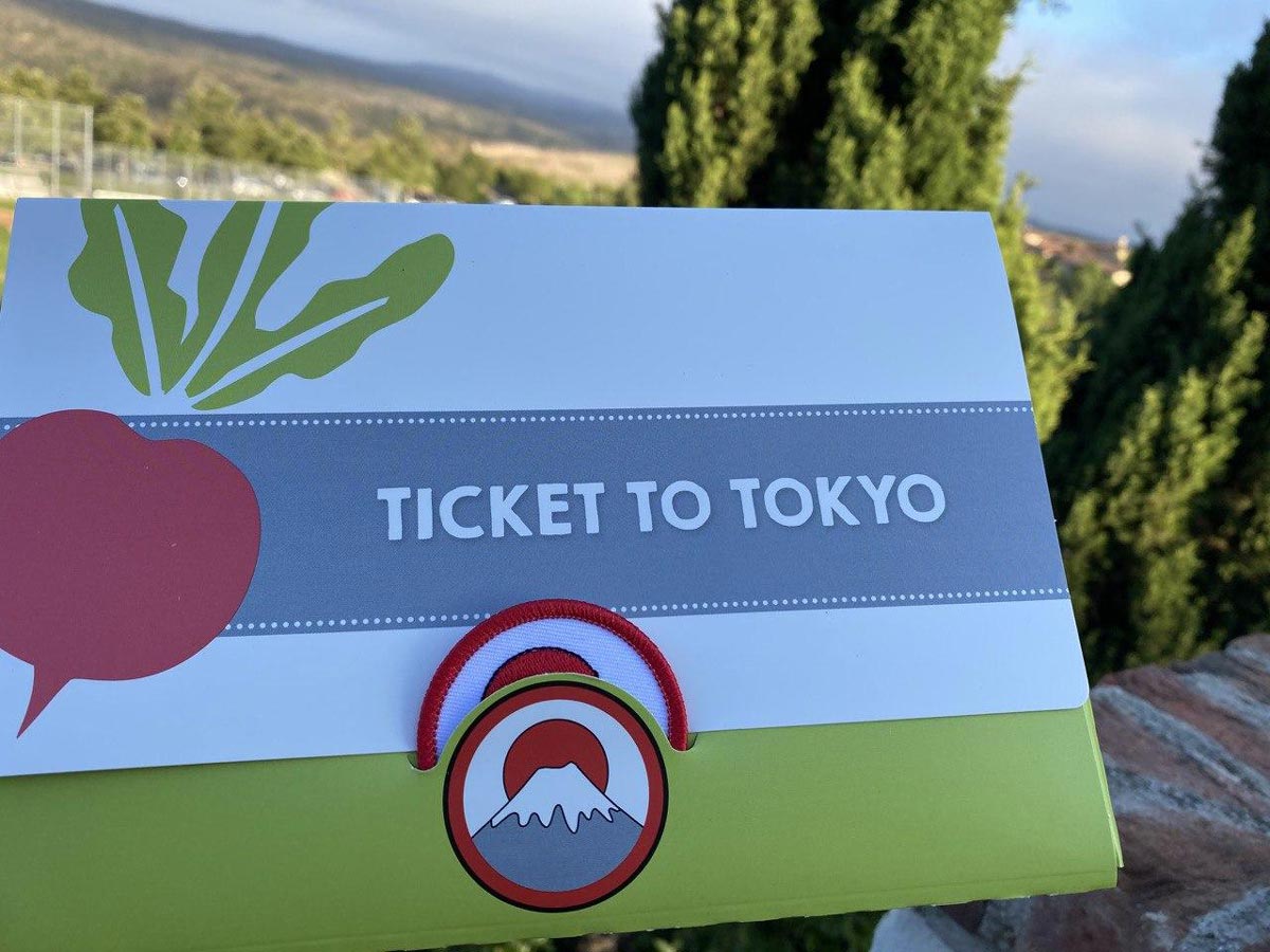 Raddish Ticket to Tokyo Box