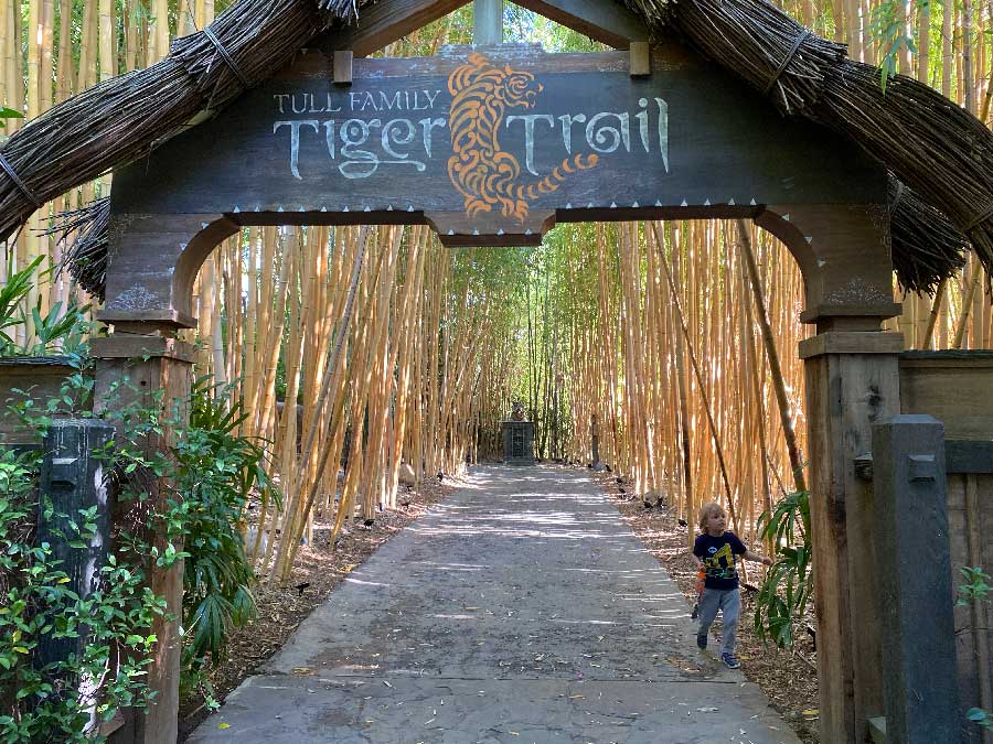San Diego Safari Park Tiger Trail