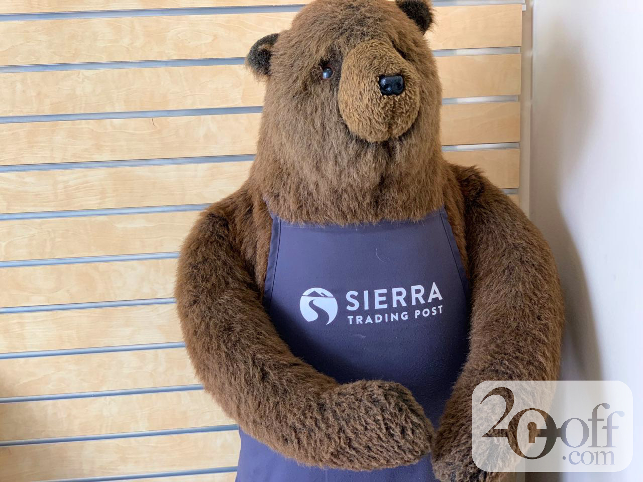 Sierra Souvenir Bear