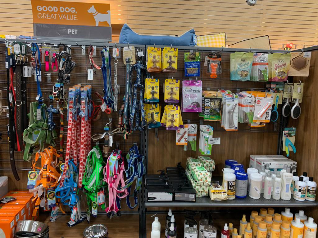 Sierra Trading Post Dog Supplies Coupon