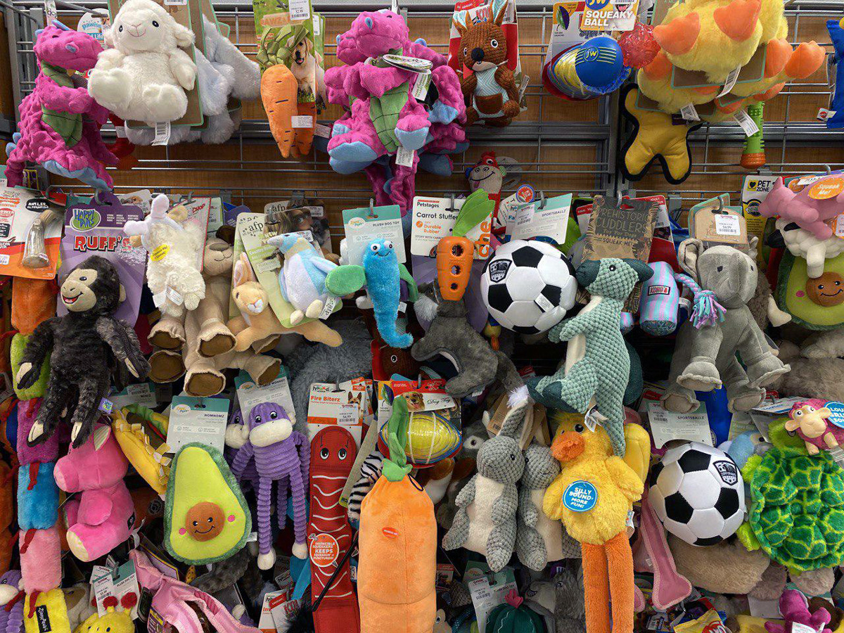 Sierra Trading Post Dog Toys Coupon