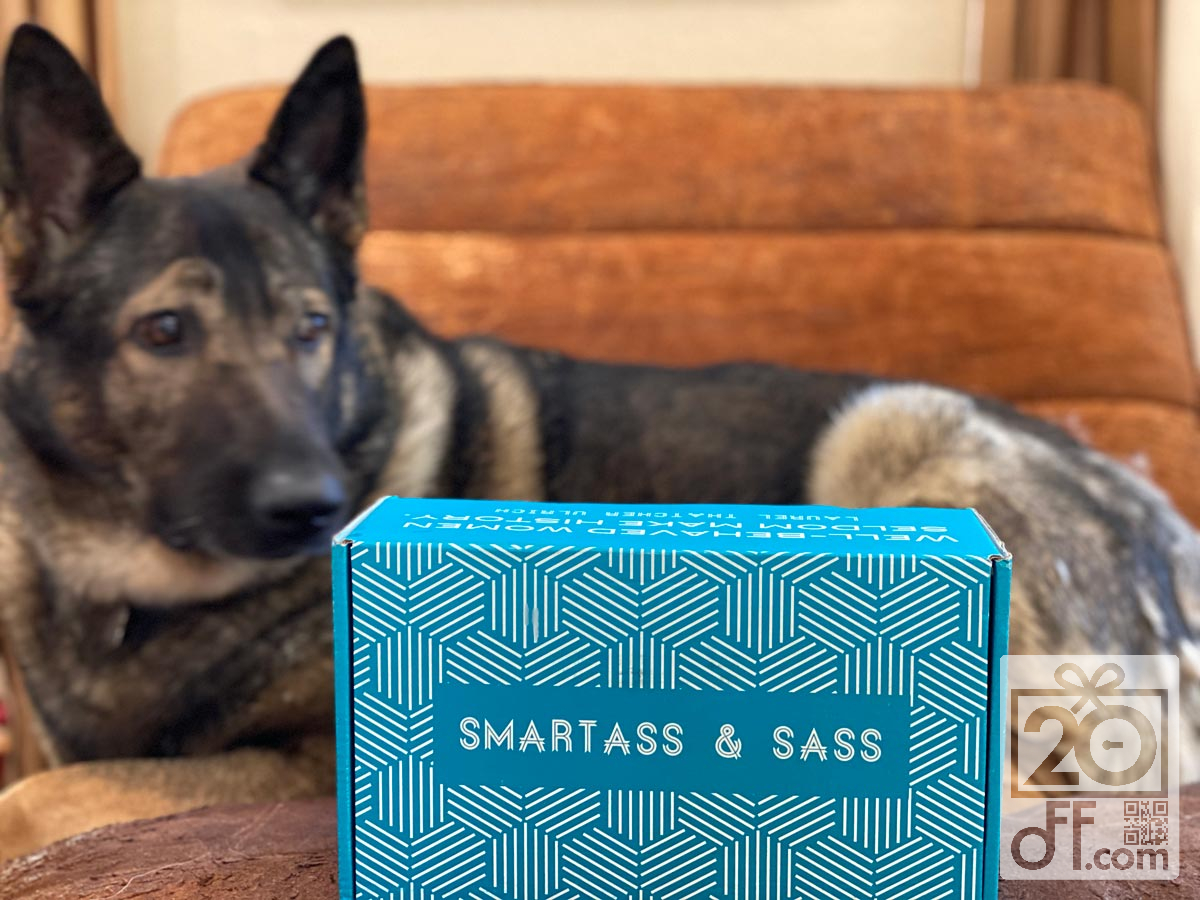 Smartass & Sass Summer Box