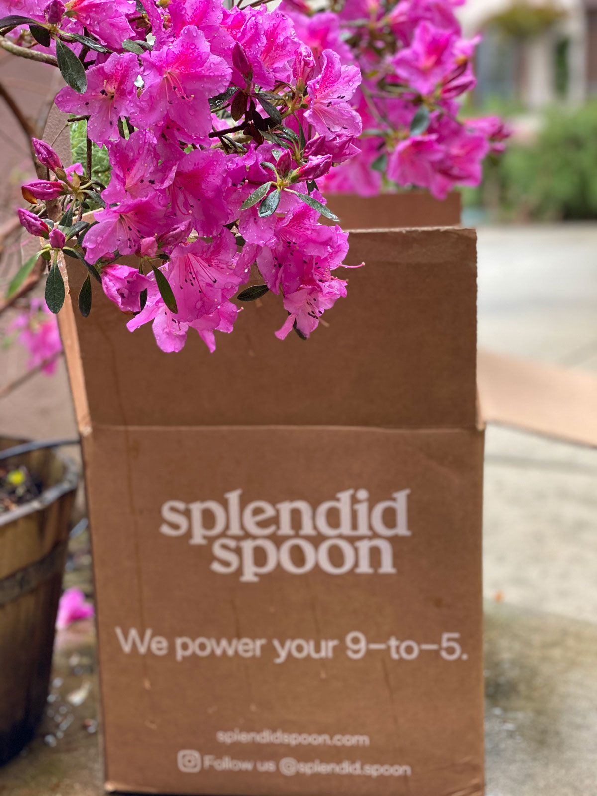 Splendid Spoon Deals 20off
