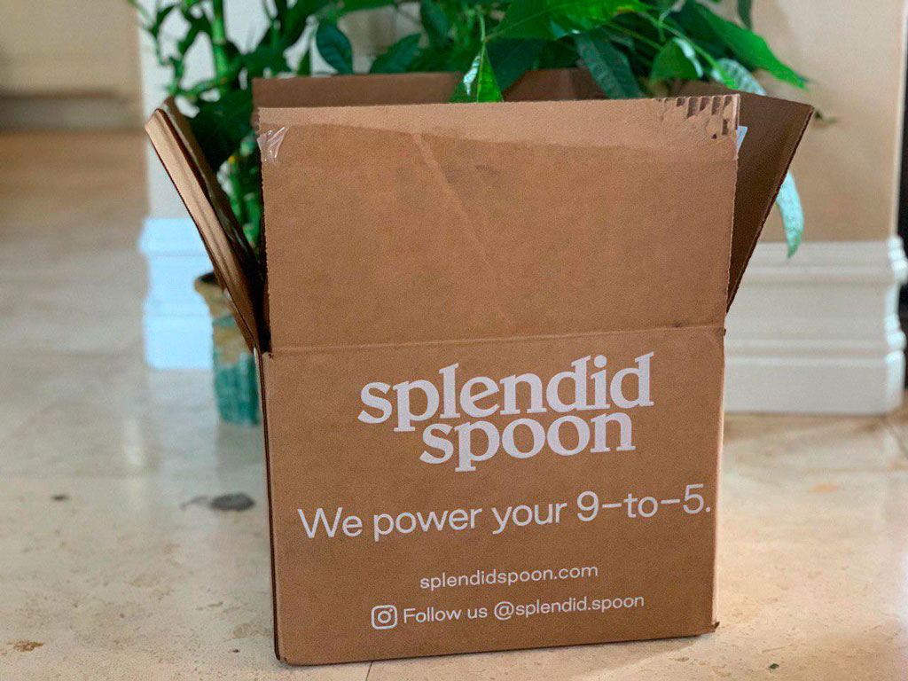 Splendid Spoon Delivery Promo