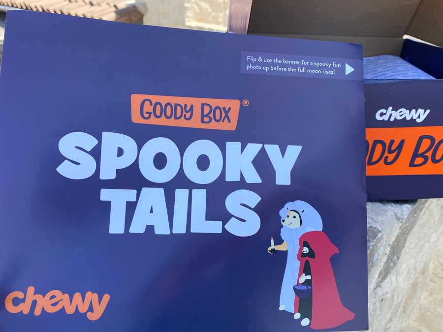 Spooky Tails for Dogs