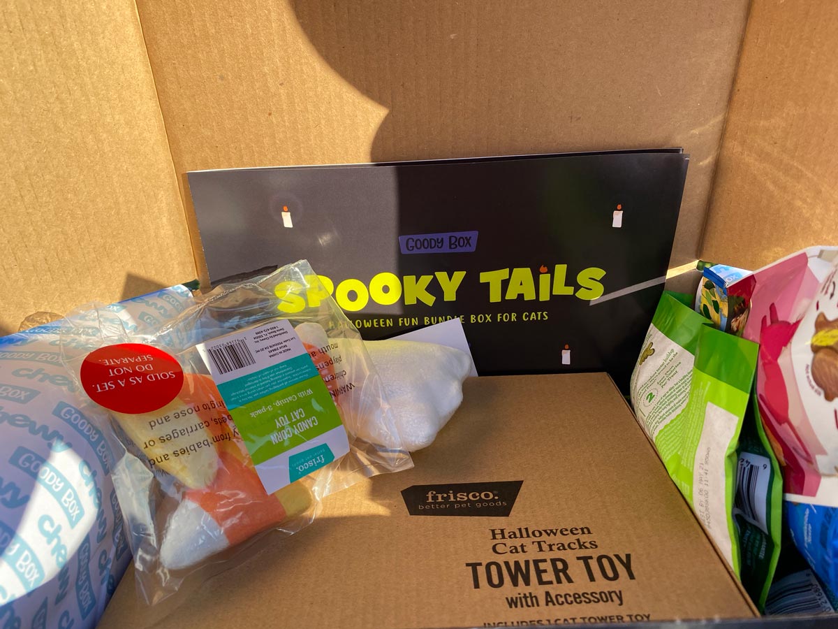 Spooky Tails Halloween Bundle Box for Cats
