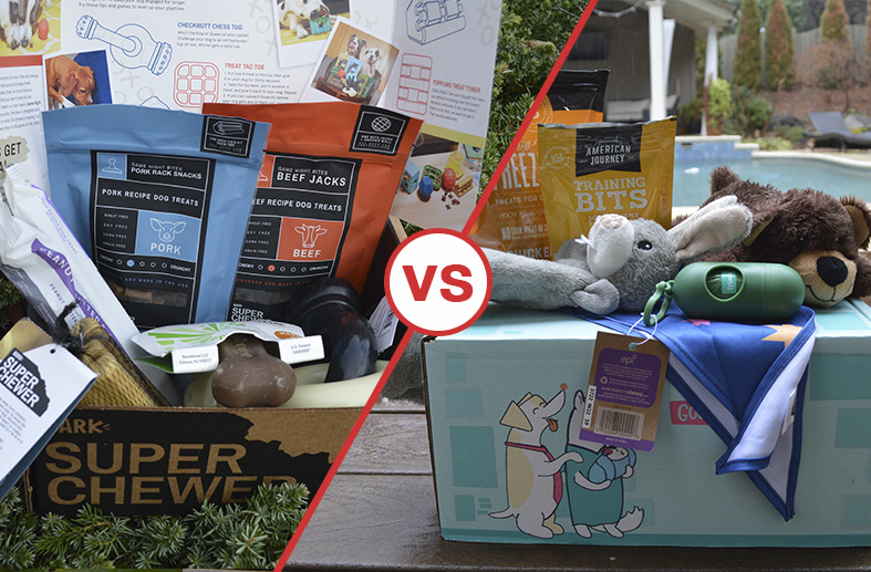 Super Chewer vs. Chewy's Puppy Box