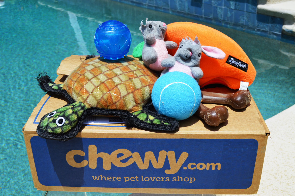 Top Dog Supplies from Chewy