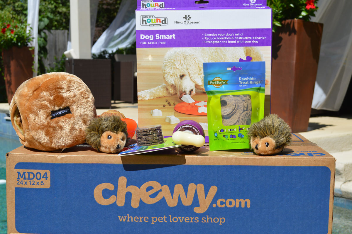 Top Interactive Dog Toys from Chewy