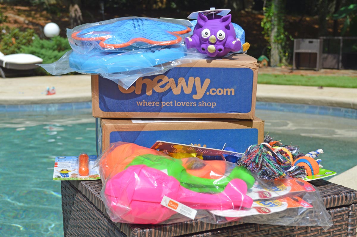 Top Outdoor Toys from Chewy