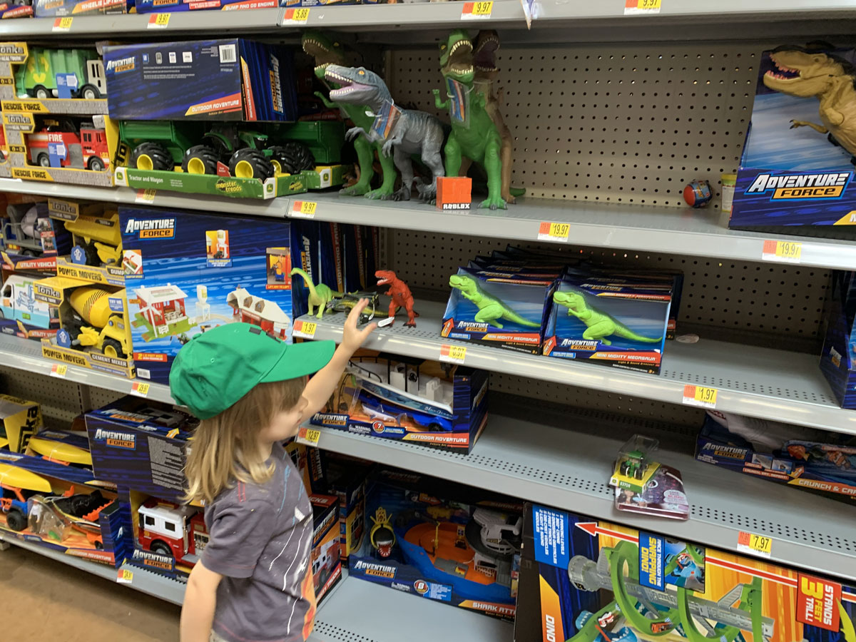 Walmart Adventure Force Dragons