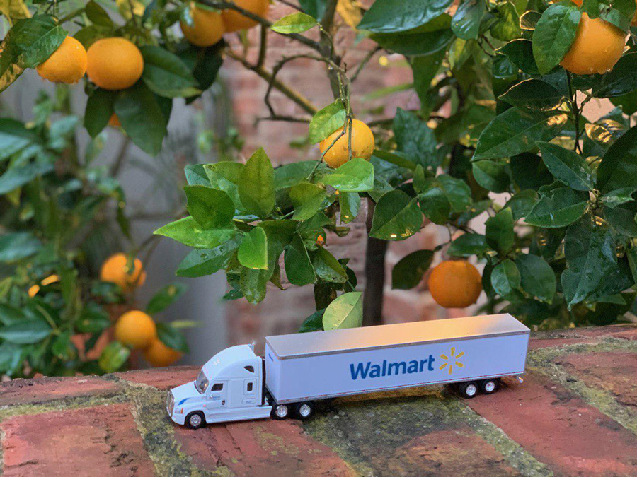Walmart Groceru Delivery Promotion