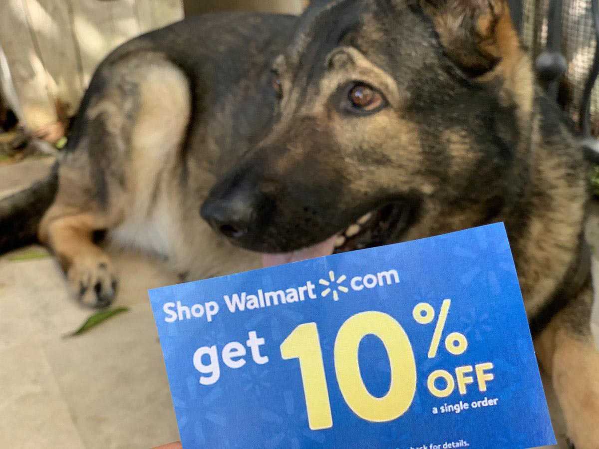 Walmart Outdoor Promotion