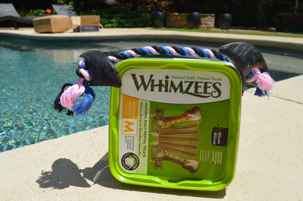 Whimzees and USA Bones & Chews dog toys