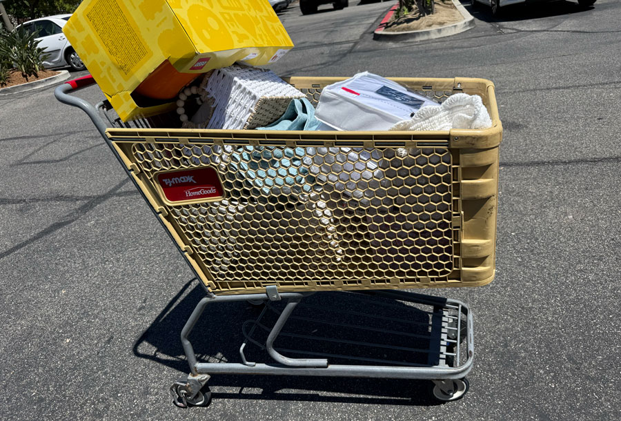TJ Maxx and HomeGoods shopping cart filled with home accessories